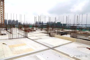 廣西建工一建來賓祥康苑項目質(zhì)量安全標準化施工圖集編制與應用指南